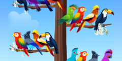 Bird Sort Puzzles