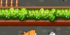 Cat Trap Labyrinth Escape