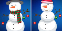 Christmas Spot differences