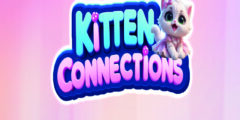 Kitten Connections
