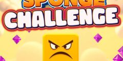 Sponge Challenge